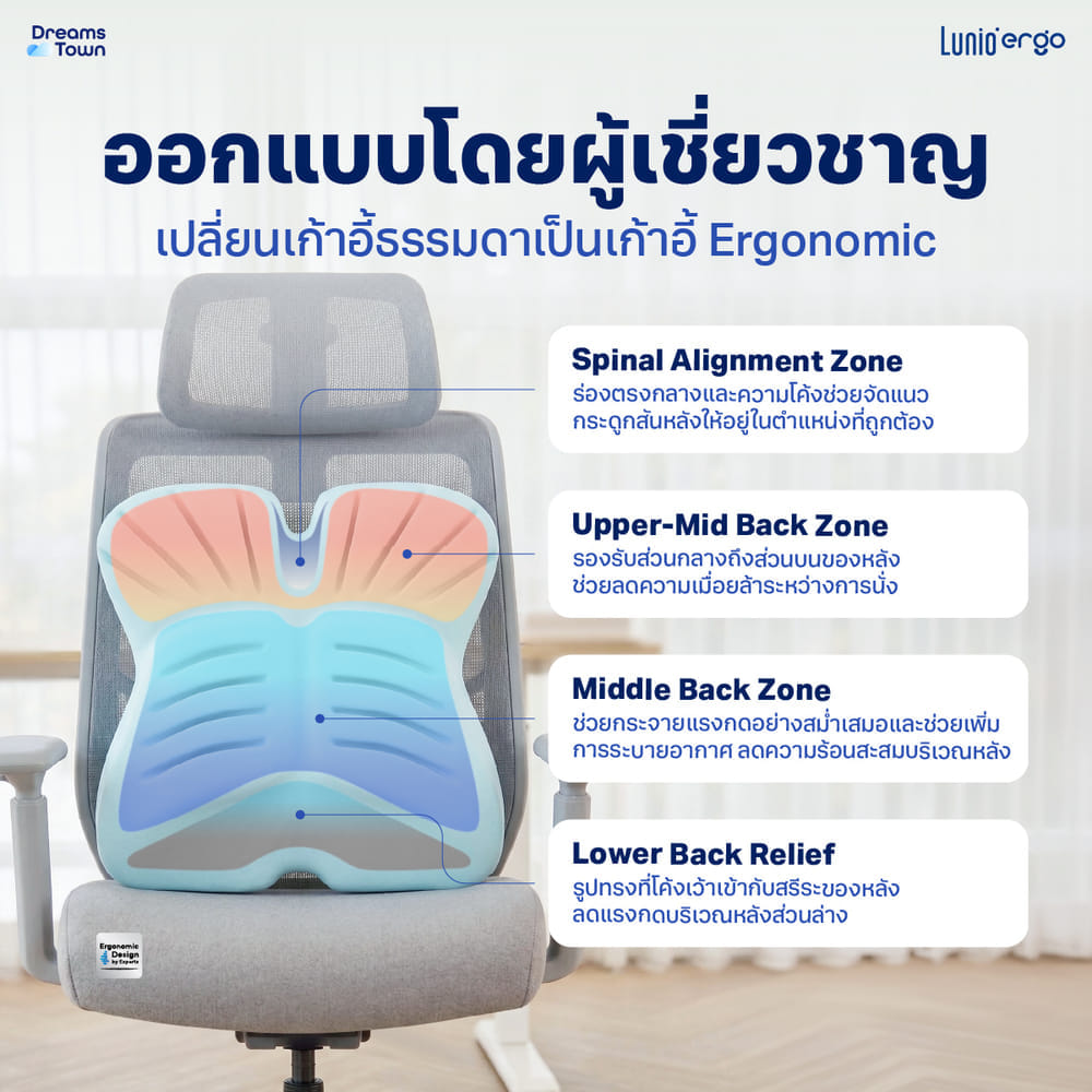 เบาะรองหลัง LUNIO ERGO PRO BACK CUSHION_1